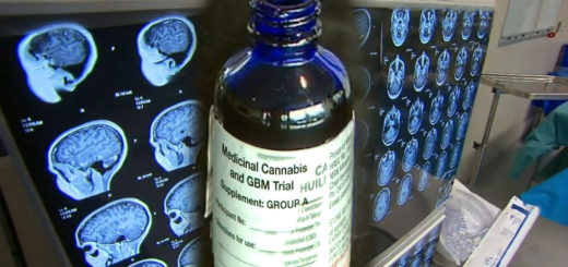 Cannabis medica e nuove soluzioni antitumorali per il cervello