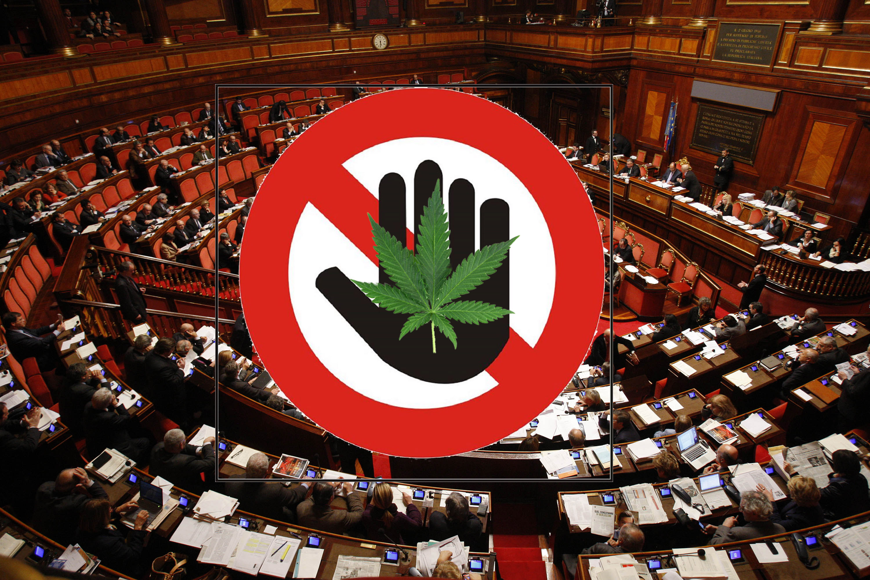 La manovra finanziaria va al Senato senza la Cannabis Light la cui norma è  stata buttata nel cestino – Canapa Oggi